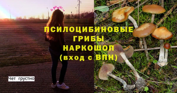 бошки Абинск