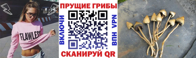 Псилоцибиновые грибы GOLDEN TEACHER  Кохма 